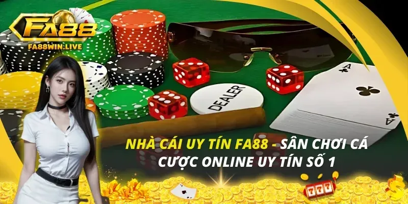 Minh họa các câu hỏi thường gặp và giải đáp
